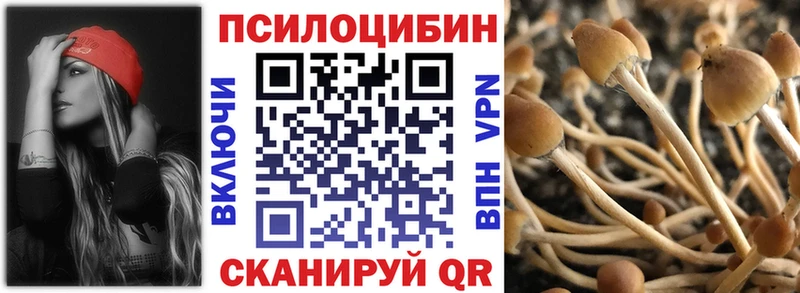 Галлюциногенные грибы Magic Shrooms  купить наркотик  Большой Камень 
