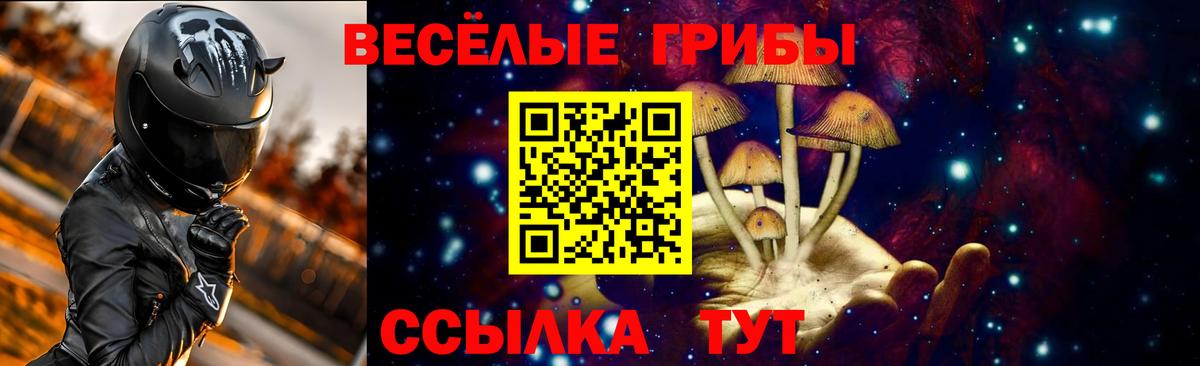 Псилоцибиновые грибы Cubensis  Вход с VPN  Большой Камень 